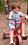 sommer_0031.jpg