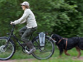 image-817