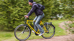 Mit der Silbermöwe zur Arbeit